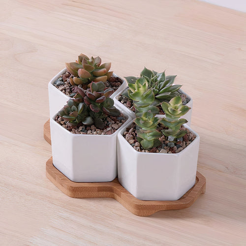 Beehive Stacking Planter Set — Tiered Indoor Plant Pots for Shelf & Desk