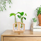 2pcs Glass Tube Plant Propagation Station with Wooden Stand