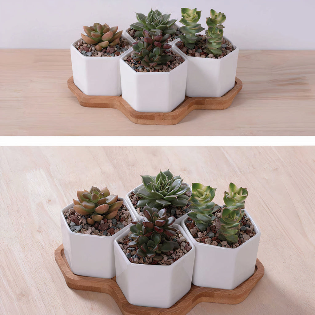Beehive Stacking Planter Set — Tiered Indoor Plant Pots for Shelf & Desk