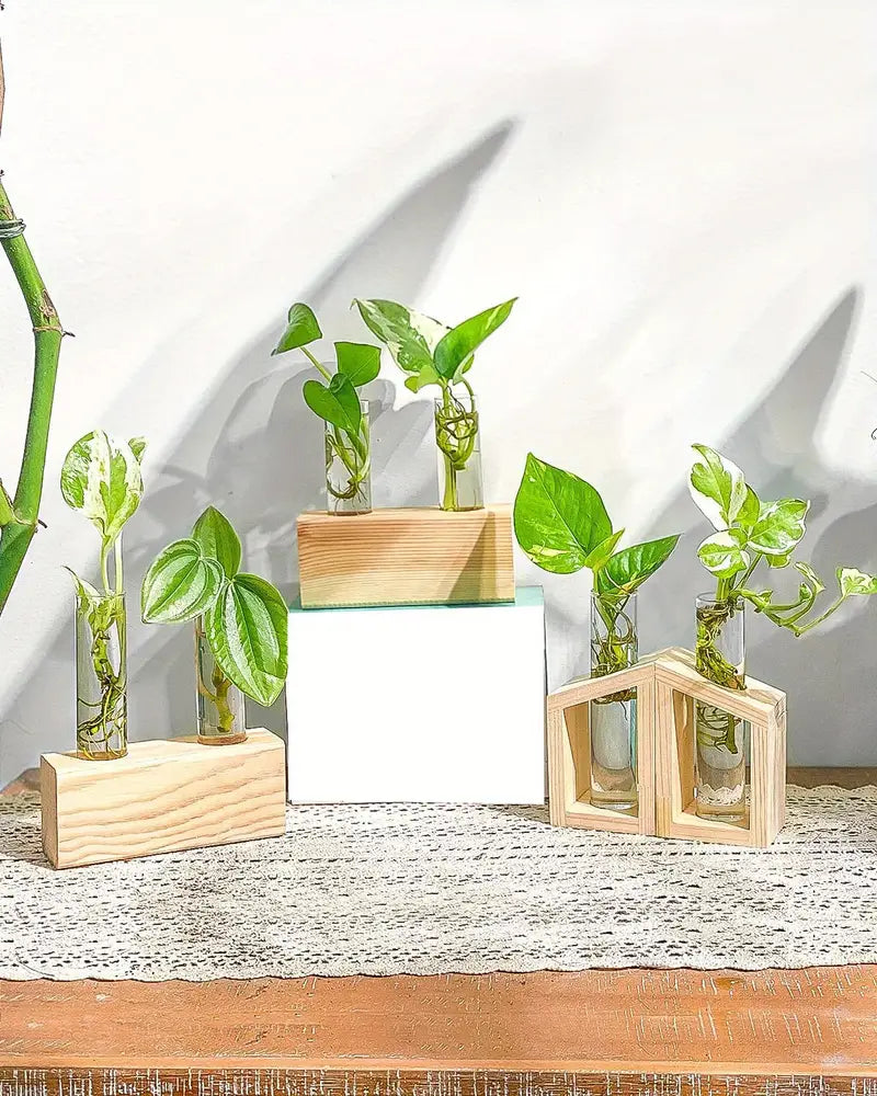 2pcs Glass Tube Plant Propagation Station with Wooden Stand
