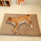 Orthopedic Memory Foam Dog Bed & Sofa — Supportive Joint Relief, Washable Cover