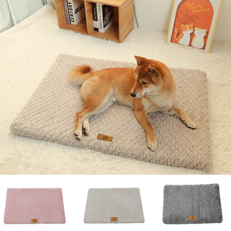 Orthopedic Memory Foam Dog Bed & Sofa — Supportive Joint Relief, Washable Cover