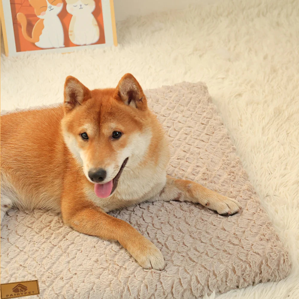 Orthopedic Memory Foam Dog Bed & Sofa — Supportive Joint Relief, Washable Cover