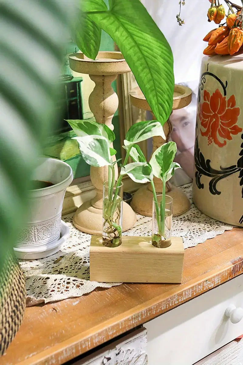2pcs Glass Tube Plant Propagation Station with Wooden Stand