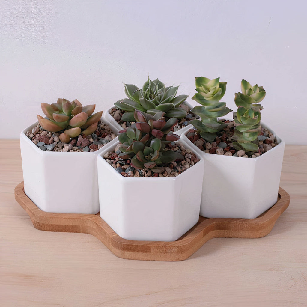 Beehive Stacking Planter Set — Tiered Indoor Plant Pots for Shelf & Desk