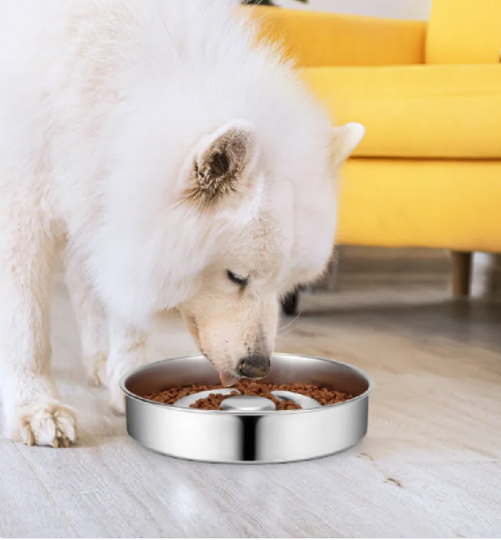 Stainless Steel Slow Feeder Bowl for Dogs & Cats — Anti-Gulp Feeding Bowl