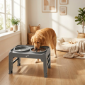 Elevated Dog Bowl Stand styled in a bright modern home