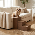 Collapsible Pet Stairs styled in a cozy living room