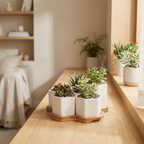 Beehive stacking planter set styled on a bright modern shelf with plants